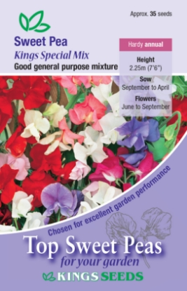 Picture of Sweet Pea Kings Special