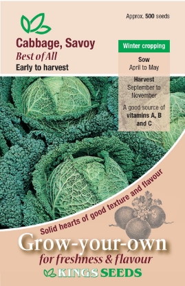 Picture of Cabbage, Savoy Best Of All