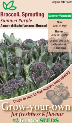 Picture of Broccoli Sprouting Summer Purple