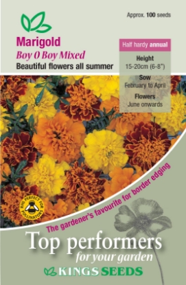 Picture of Marigold French Boy O Boy Mixed