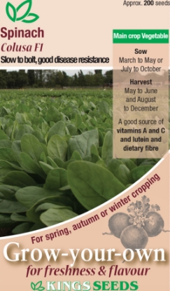 Picture of Spinach Colusa F1
