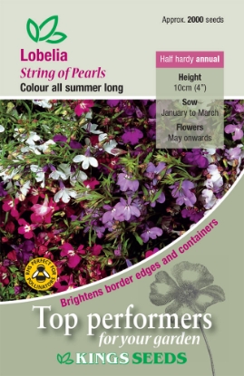 Picture of Lobelia String Of Pearls Mixed