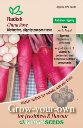 Picture of Radish China Rose