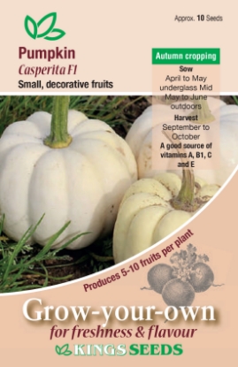 Picture of Pumpkin Casperita F1