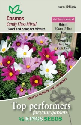 Picture of Cosmos Candyfloss Mixed