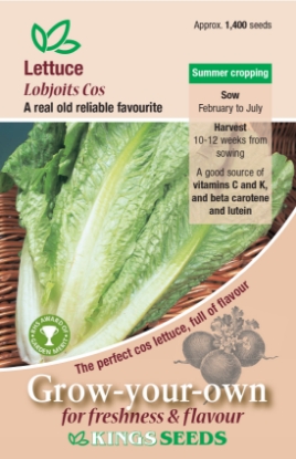 Picture of Lettuce Lobjoits Cos RHS AGM
