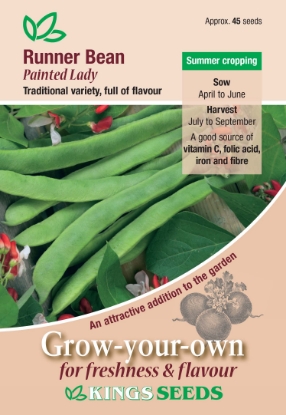 Picture of Runner Bean Painted Lady 
