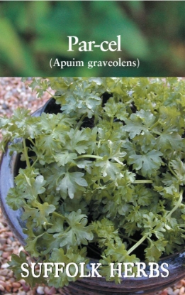 Picture of Parsley Parcel