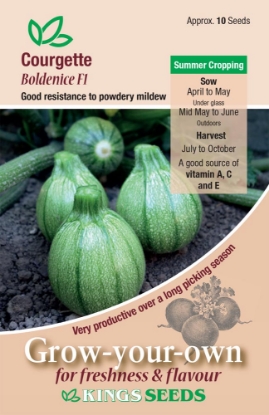 Picture of Courgette  Boldenice F1