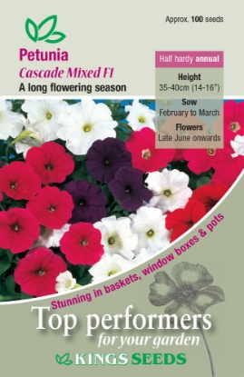 Picture of Petunia Cascade Mixed F1