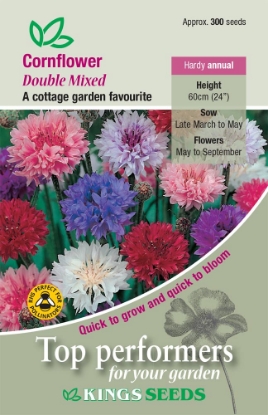 Picture of Cornflower Double Mixed
