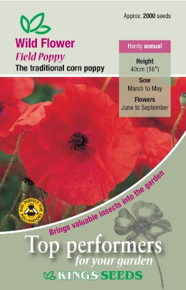 Picture of Wild Flower Poppy Field