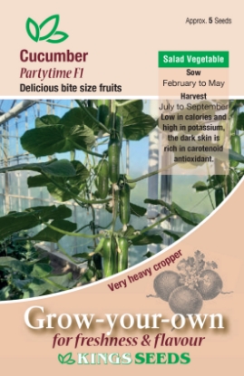 Picture of Cucumber Partytime F1
