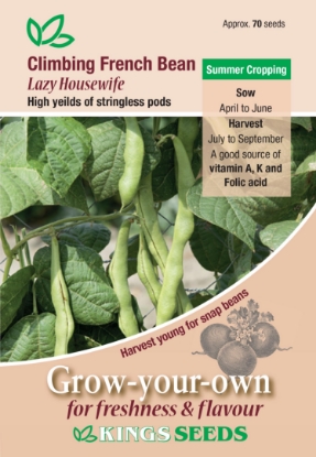 Picture of Climbing French Bean Lazy Housewife 