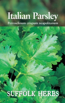 Picture of Parsley Italian Giant