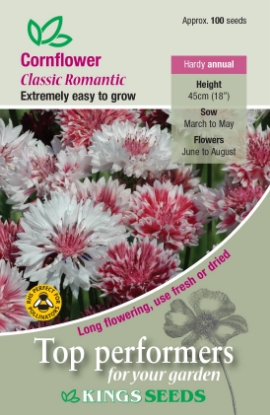 Picture of Cornflower Classic Romantic