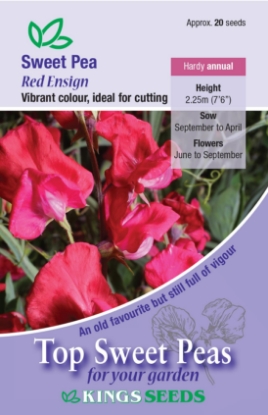 Picture of Sweet Pea Red Ensign