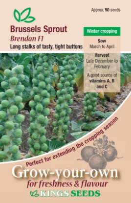 Picture of Brussels Sprout Brendan F1