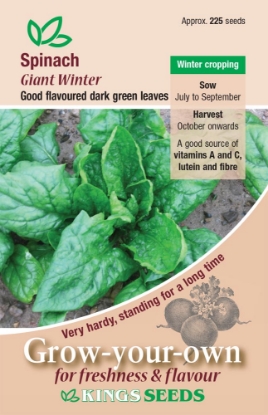 Picture of Spinach Giant Winter