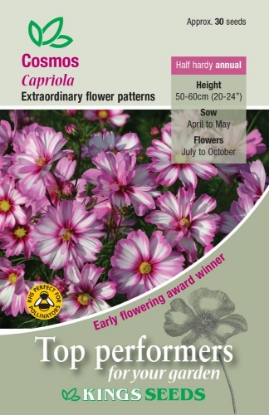 Picture of Cosmos Capriola