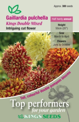 Picture of Gaillardia Pulchella Kings Double Mixed