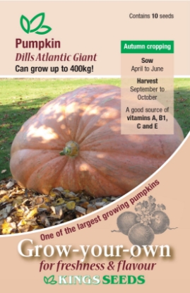 Picture of Pumpkin Dills Atlantic Giant