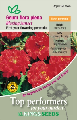 Picture of Geum Flora Plena Blazing Sunset