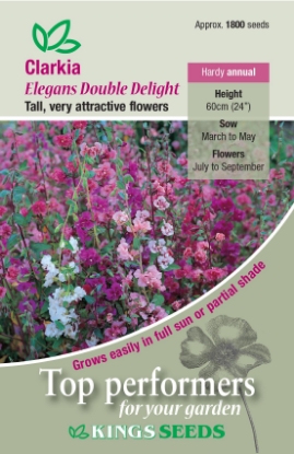 Picture of Clarkia Elegans Double Delight