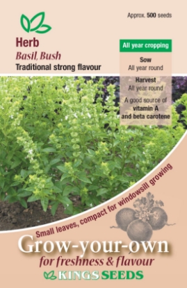 Picture of Herb Basil Bush