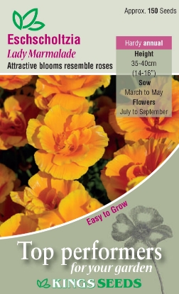 Picture of Eschscholzia Lady Marmalade