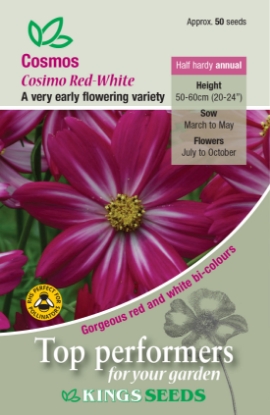 Picture of Cosmos Cosimo Red-White