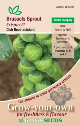 Picture of Brussels Sprout Crispus F1