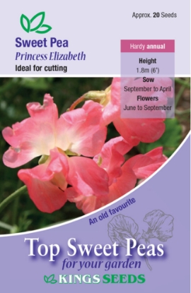 Picture of Sweet Pea Princess Elizabeth
