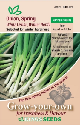 Picture of Onion Spring White Lisbon Winter Hardy 