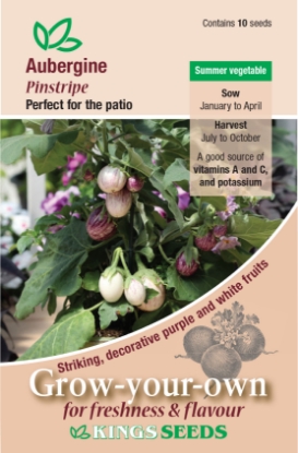 Picture of Aubergine Pinstripe F1