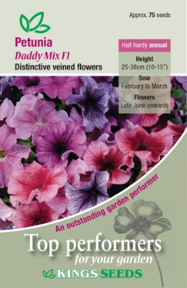 Picture of Petunia Daddy Mixed F1