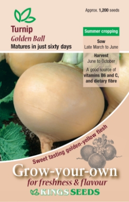 Picture of Turnip Golden Ball