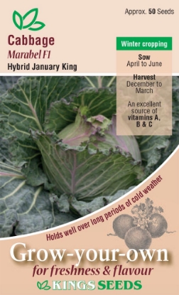 Picture of Cabbage January King Marabel F1