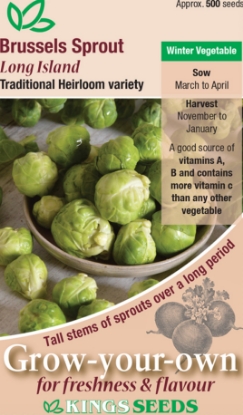 Picture of Brussels Sprout Long Island