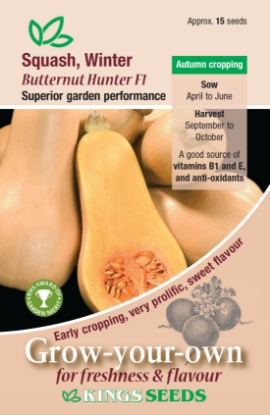 Picture of Squash Winter Butternut Hunter F1