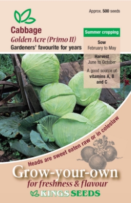 Picture of Cabbage Golden Acre Primo 2