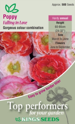 Picture of Poppy Falling In Love