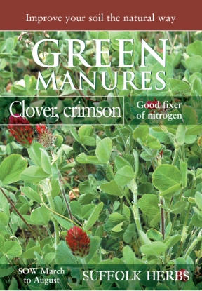 Picture of Crimson Clover (Pack For 30 Sq.M)
