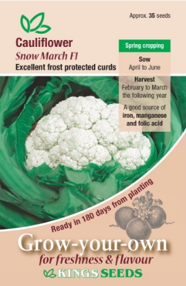 Picture of Cauliflower Snow March F1