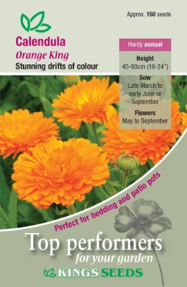Picture of Calendula Orange King