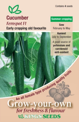 Picture of Cucumber Femspot F1