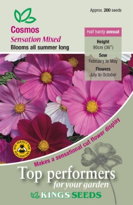 Picture of Cosmos Sensation Mixed