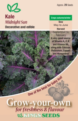 Picture of Kale Midnight Sun