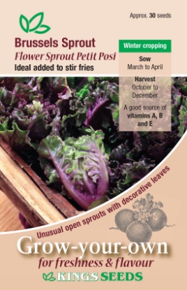 Picture of Brussels Sprout Flower Sprout Petit Posi