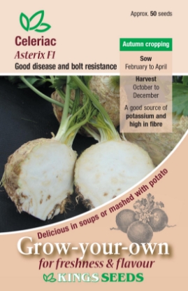 Picture of Celeriac Asterix F1